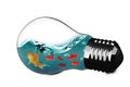 3D Composite image of light bulb with goldfish inside Royalty Free Stock Photo