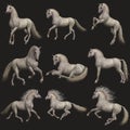 Fleabitten Grey Horse, 3d CG