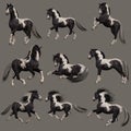 Gypsy Vanner Horse, 3d CG Royalty Free Stock Photo