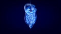 3D concept design of a digestive system Royalty Free Stock Photo