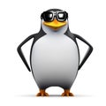 3d Cool penguin