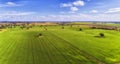 D Corn Field flat blue sky Royalty Free Stock Photo