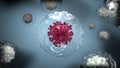 3d coronovirus animation SARS-CoV-2 close-up, in cytoplasm of infected stem cells, with seamless cyclic rotation. COVID