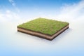 3D cubical garden grass land with yellow flowers, soil geology cross section, 3D Illustration ground ecology isolated on blue sky