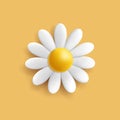 3D Daisy or chamomile flower icon, white delicate flower in bloom render cartoon style