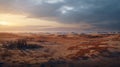 2d Desert Scene In New Skyrim Video Wallpaper