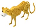 3D design for cheetah tiger