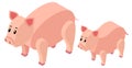 3D design for farm pigs