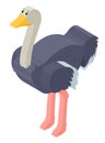 3D design for ostrich bird