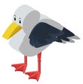 3D design for seagull