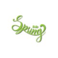 3d design words spring, lettering. Paper cut style. Vector