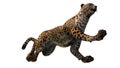 3D digital render of a jumping cheetah