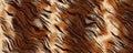 3d Digital Tiger fur Background