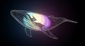 A 3D digital wireframe illustration of a whale, resembling a humpback whale. The Royalty Free Stock Photo