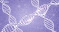 3D DNA structure glowing on a purple science background Royalty Free Stock Photo