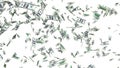 3d dollar bills falling on transparent background Royalty Free Stock Photo
