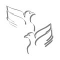 3D doves on white background