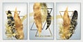 3d drawing art mural modern wall frame. golden, black feathers and triangles with marble in light gray background