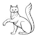 D drawn vector illustration of black and white sitting with raised paw cat isolated on white.