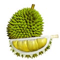 3D Durian fruits Royalty Free Stock Photo