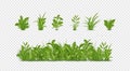 3D Easter grass. Vegetation plants. Green spring field. Border with nature leaves. Fresh life garden. Meadow botany