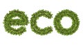 3D eco text on white background.