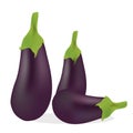 3D Eggplant Isolated on White Background. Vector Vegetables