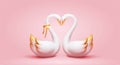 3d elegant white swan couple Royalty Free Stock Photo