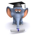 3d Elephant graduates