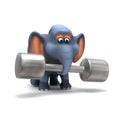 3d Elephant works out