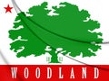 3D Emblem of Woodland California, USA. Royalty Free Stock Photo