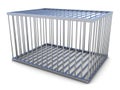 3d Empty metal cage