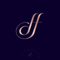 D and F letters. D, F monogram consist of Interlocking letters. Gold letters combined, isolated on a dark background.