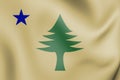 3D Flag of Maine 1901.