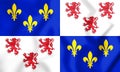 3D Flag of Picardy Region, France.