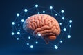 3D Floating Brain with Linked Machine Learning Nodes â Macro AI Neural Network Concept Royalty Free Stock Photo