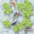 3D floor tiles design, beautiful koi fish and leaf top view in water and stone bathroom random floor tiles Royalty Free Stock Photo