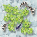 3D floor tiles design, beautiful koi fish and leaf top view in water and stone bathroom random floor tiles Royalty Free Stock Photo