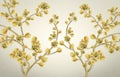 3d floral mural wallpaper with a light simple creme background. Golden branches of flowers modern art for wall home decor Royalty Free Stock Photo