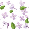 3d floral seamless pattern background. Texture with Purple Lilac flowers, leaf and petals vector illustration.