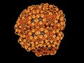 3D fractal of sponge, unusual alien life or some kind of flower