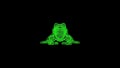 3D frog on black bg. Object dissolved green flickering particles. Business advertising backdrop. Science concept. For