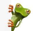 3d frog and blank empty board Royalty Free Stock Photo