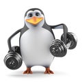 3d Funny cartoon penguin character lifts dumbells