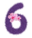 3D Fur Animal Hair Purple color Creative Decorative Number 6 decorate with pink hibiscus flower, isolated in white background. Royalty Free Stock Photo