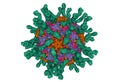 Cryo-EM structure of human poliovirusserotype 1complexed with three domain CD155 (green)