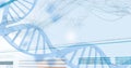 3D genes diagram on white background Royalty Free Stock Photo