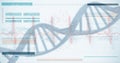 3D genes diagram on white background Royalty Free Stock Photo