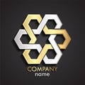 3d geometric hexagonal silver gold logo Royalty Free Stock Photo
