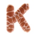 3d GIRAFFE cartoon funny creative fur letter K